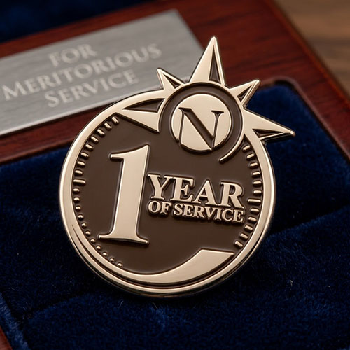 1-year pin 1-year pin